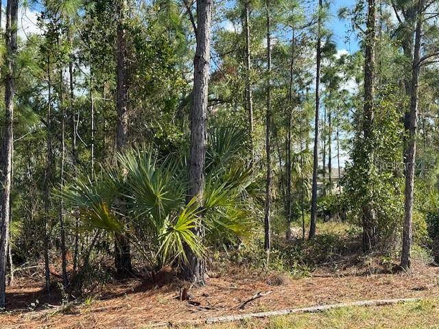 142 ALGONQUIN ST, Port Charlotte, FL 33954
