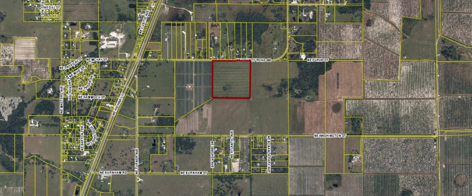 NE C0 RD 660, Arcadia, FL 34266