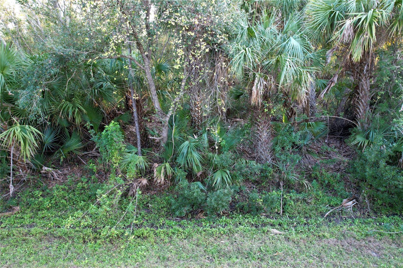 14299 CANNELL LN, Port Charlotte, FL 33953
