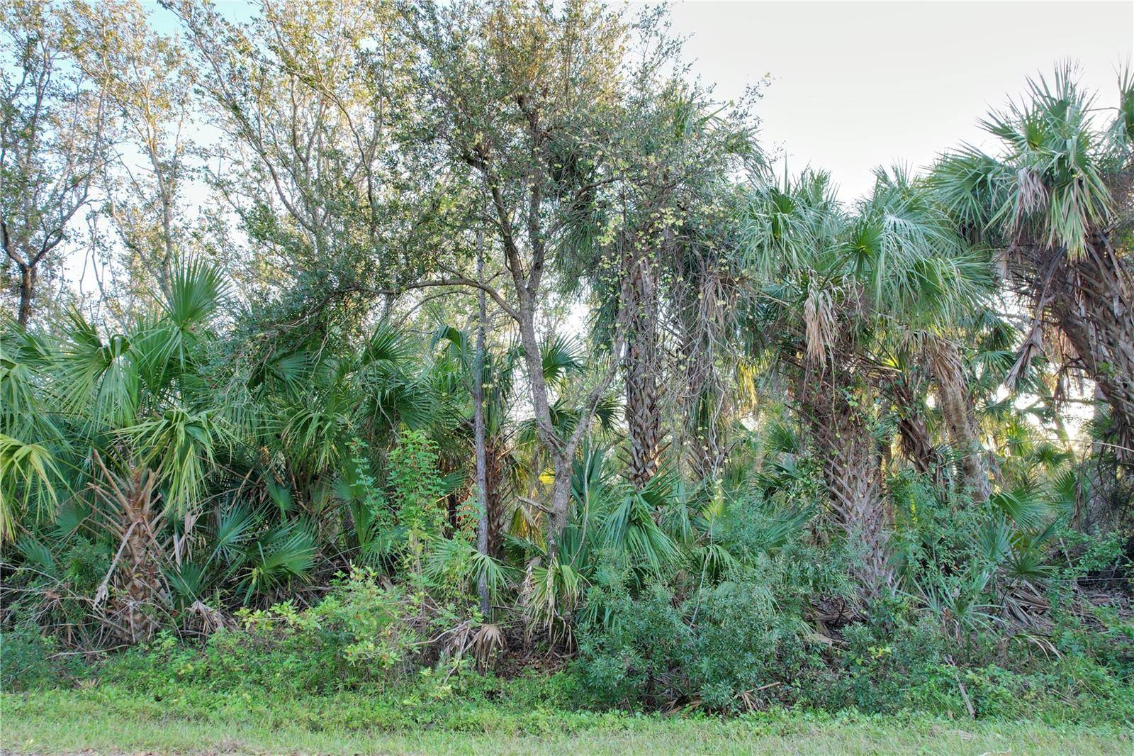 14299 CANNELL LN, Port Charlotte, FL 33953