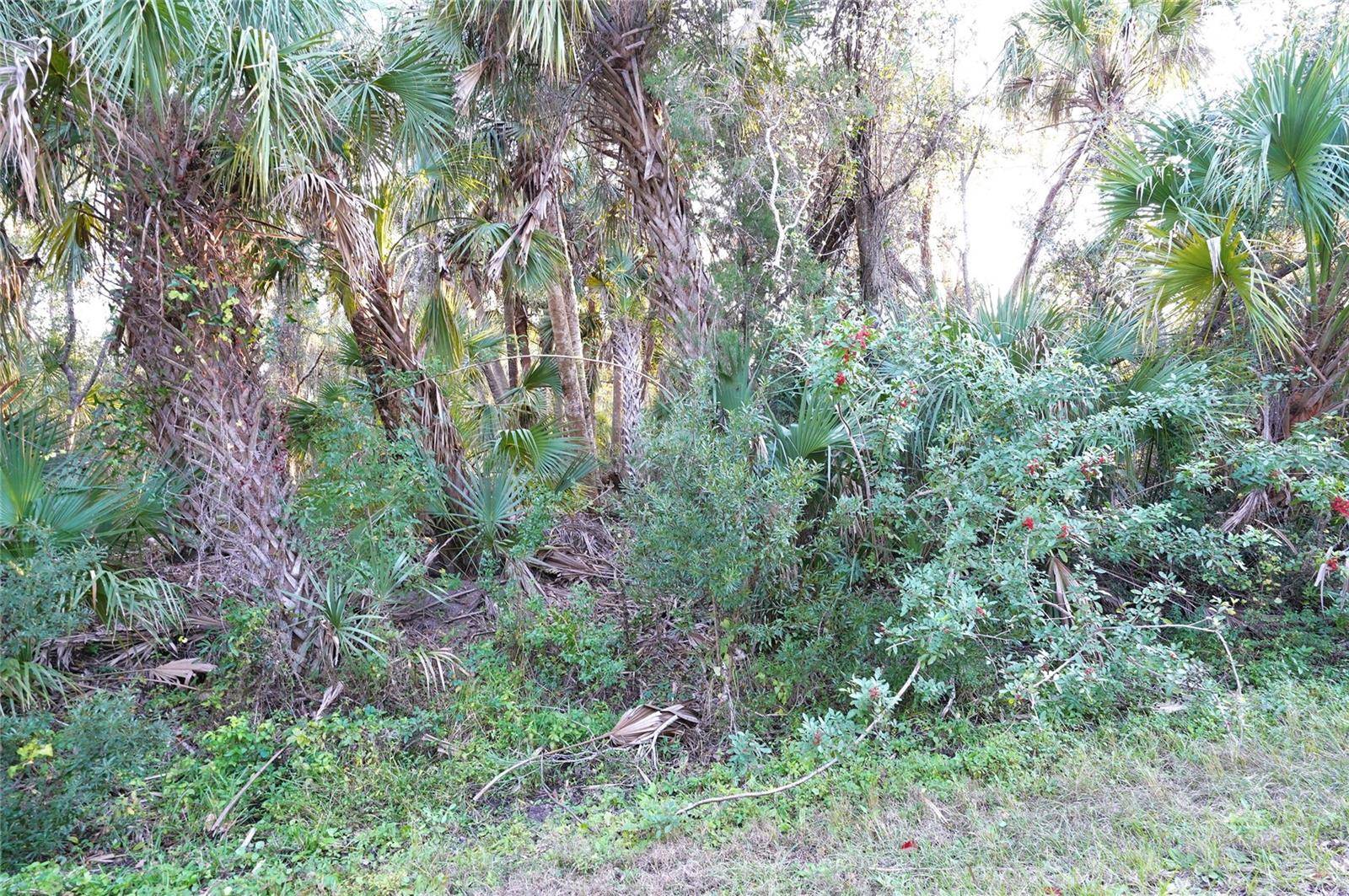 14299 CANNELL LN, Port Charlotte, FL 33953