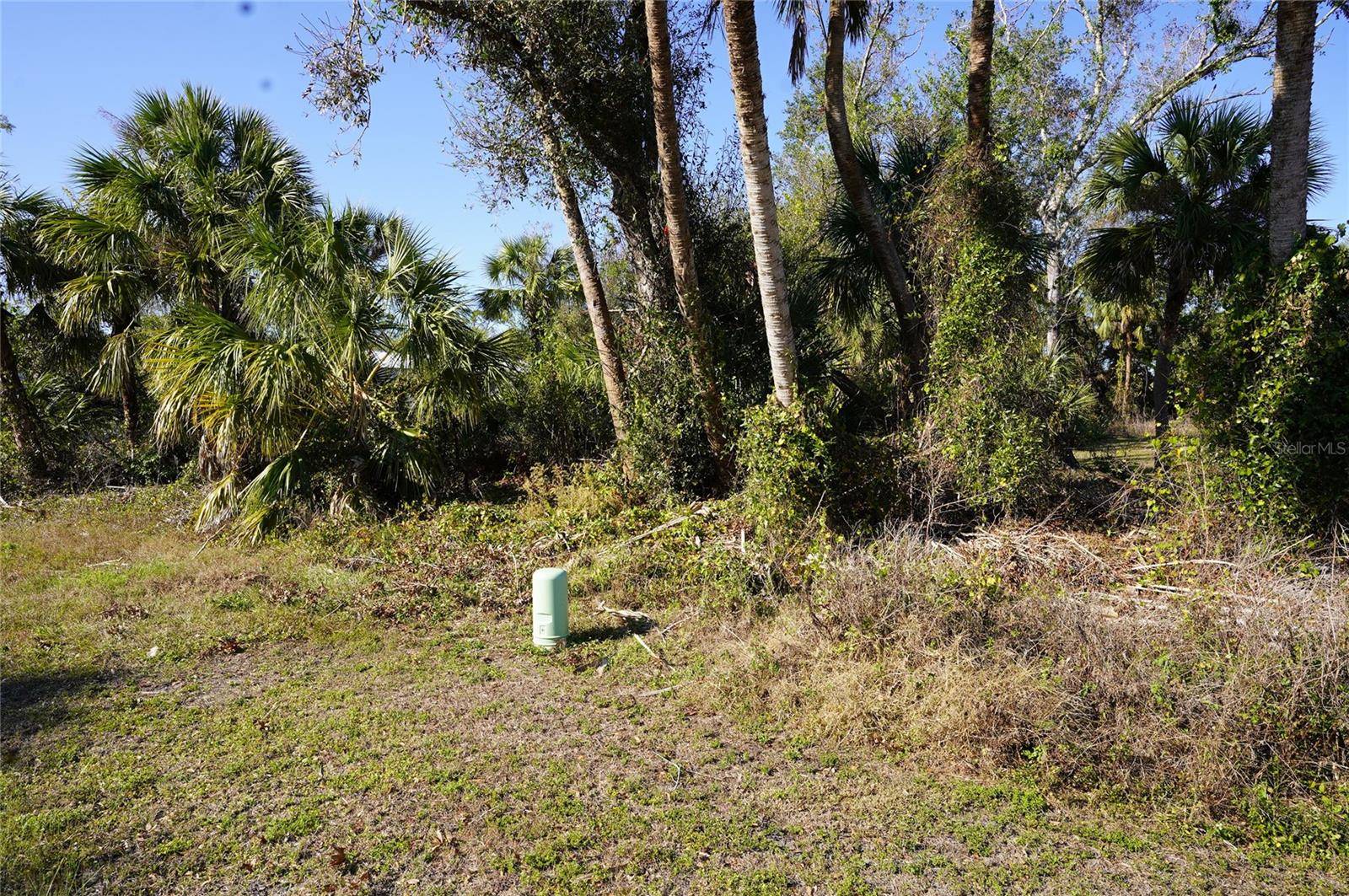 16150 ARCARO AVE, Port Charlotte, FL 33954