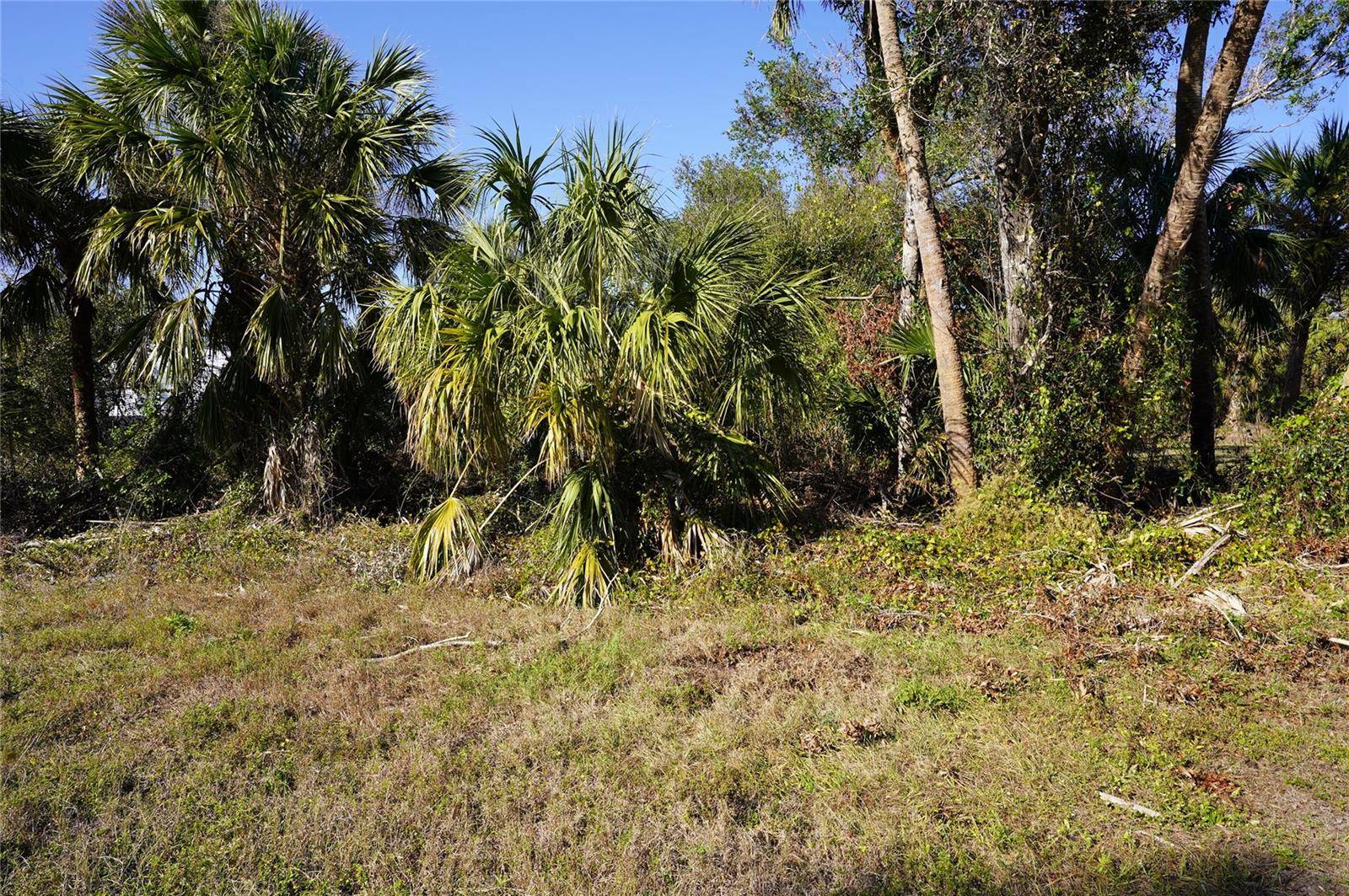 16150 ARCARO AVE, Port Charlotte, FL 33954