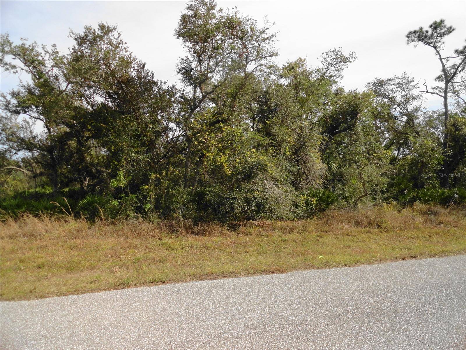 17043 ARTHUR AVE, Port Charlotte, FL 33948