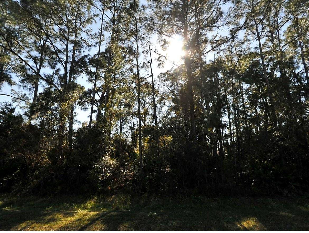 N CRANBERRY BLVD, North Port, FL 34286