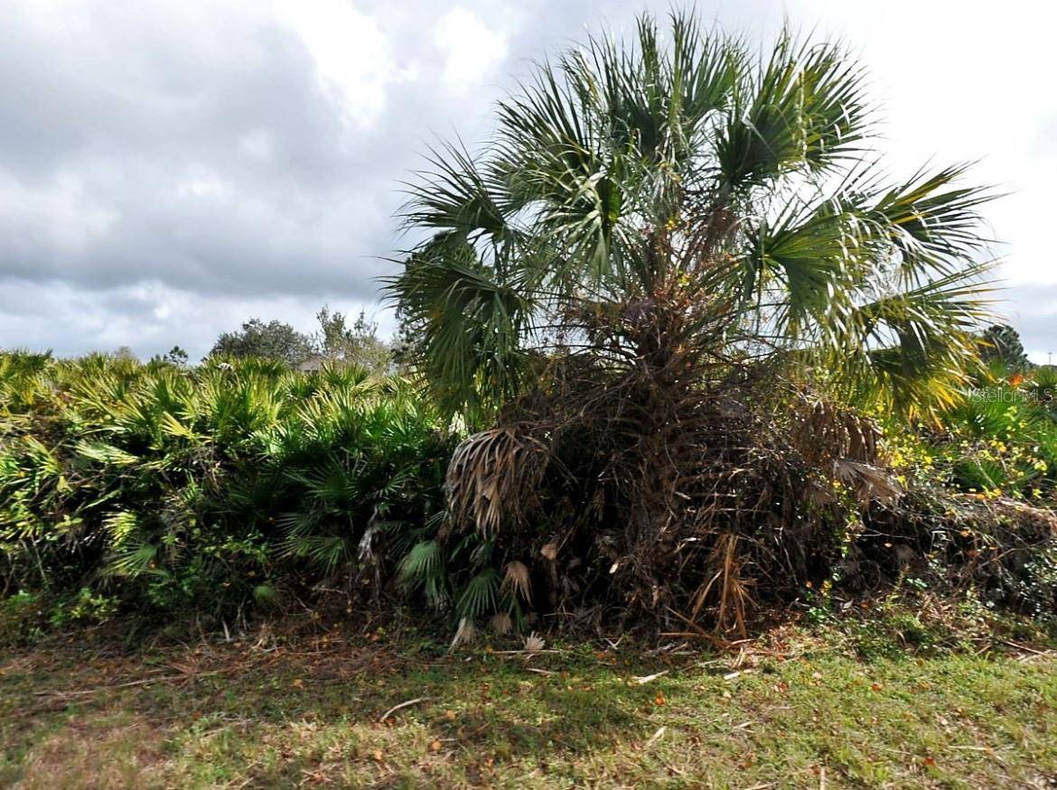 CALLAGHAN LN, North Port, FL 34291