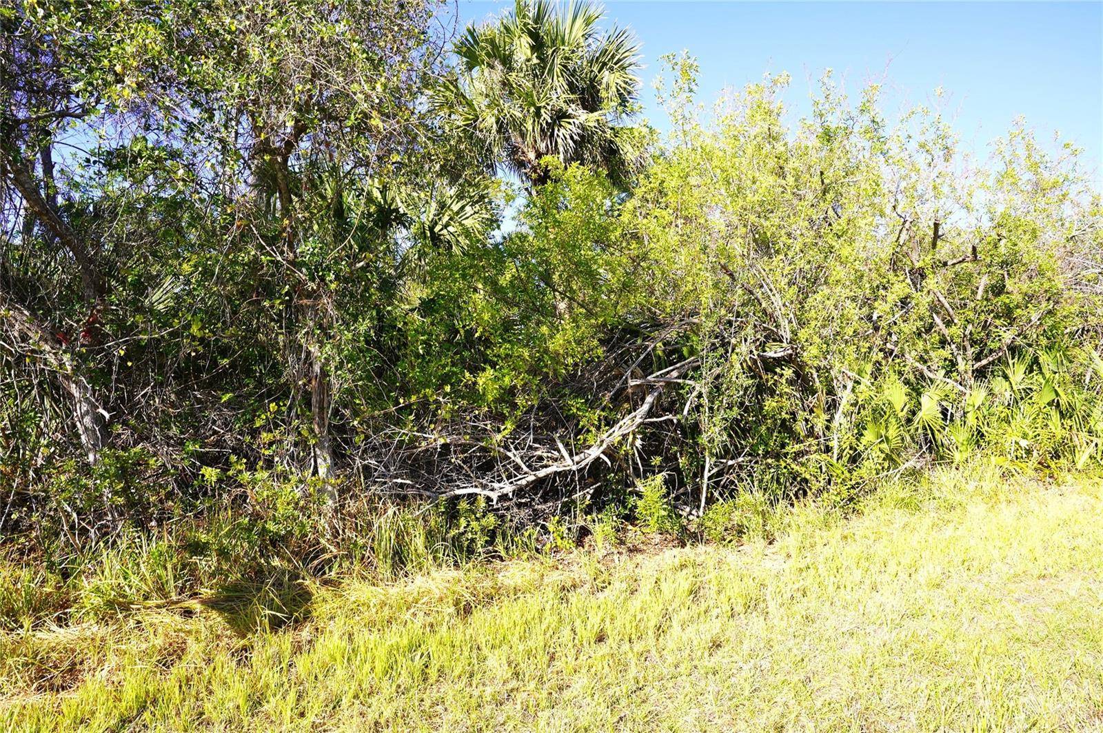 1100 MARCH DR, Port Charlotte, FL 33953