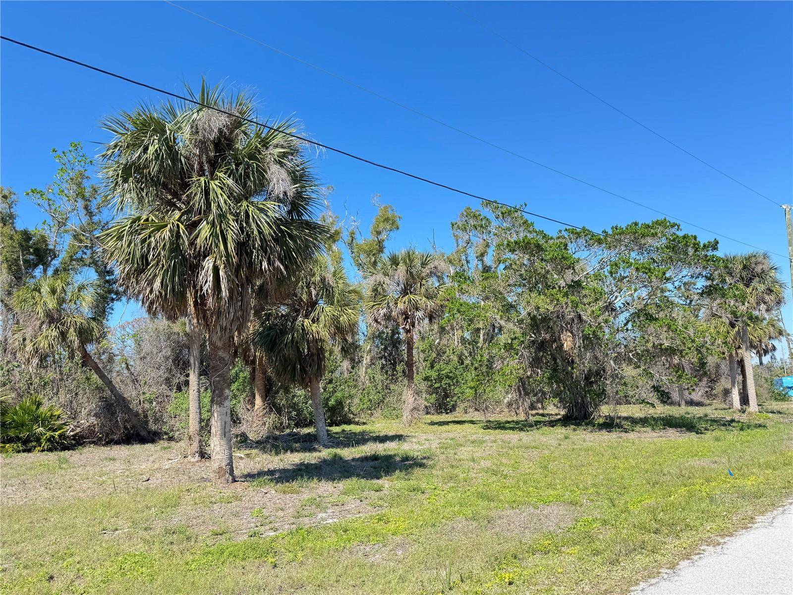 50 COBIA DR, Placida, FL 33946