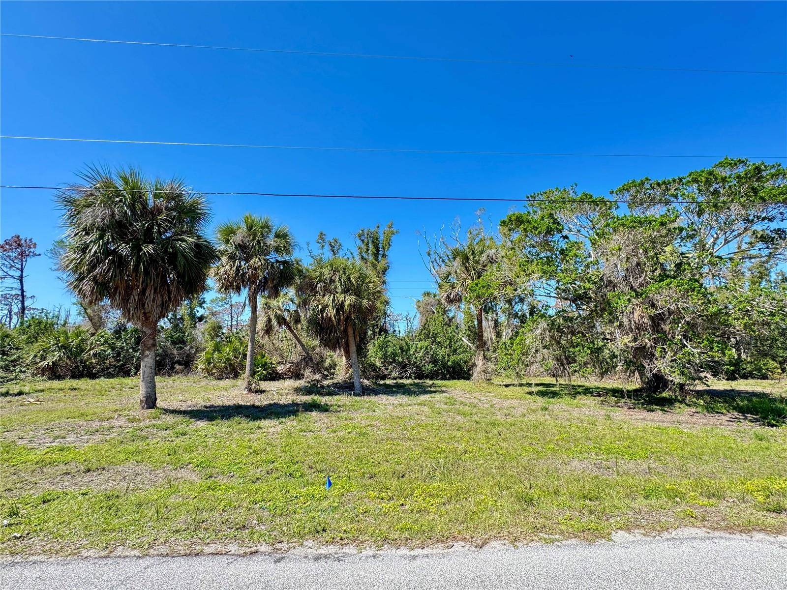 50 COBIA DR, Placida, FL 33946