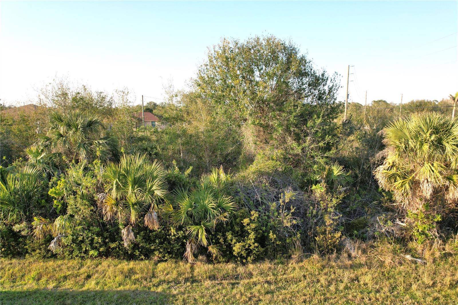 12266 NEWGATE AVE, Port Charlotte, FL 33981