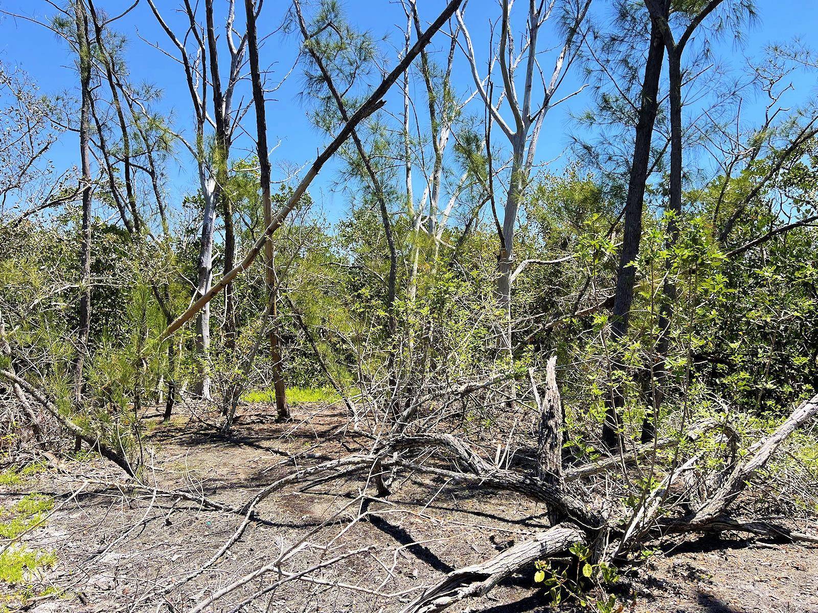 MANASOTA KEY ISLAND, Englewood, FL 34223