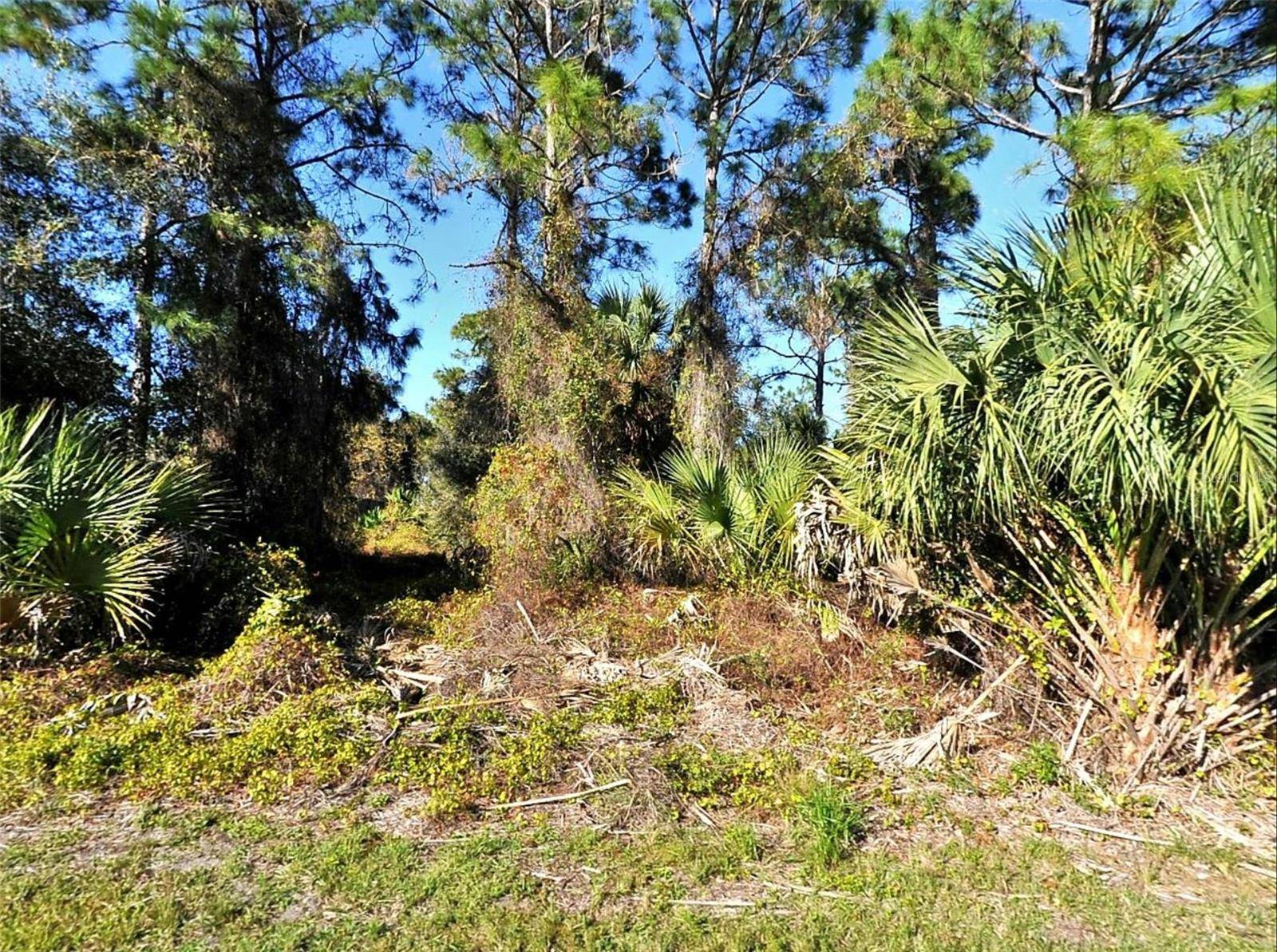 LOT 24 RENFRO AVE, North Port, FL 34286