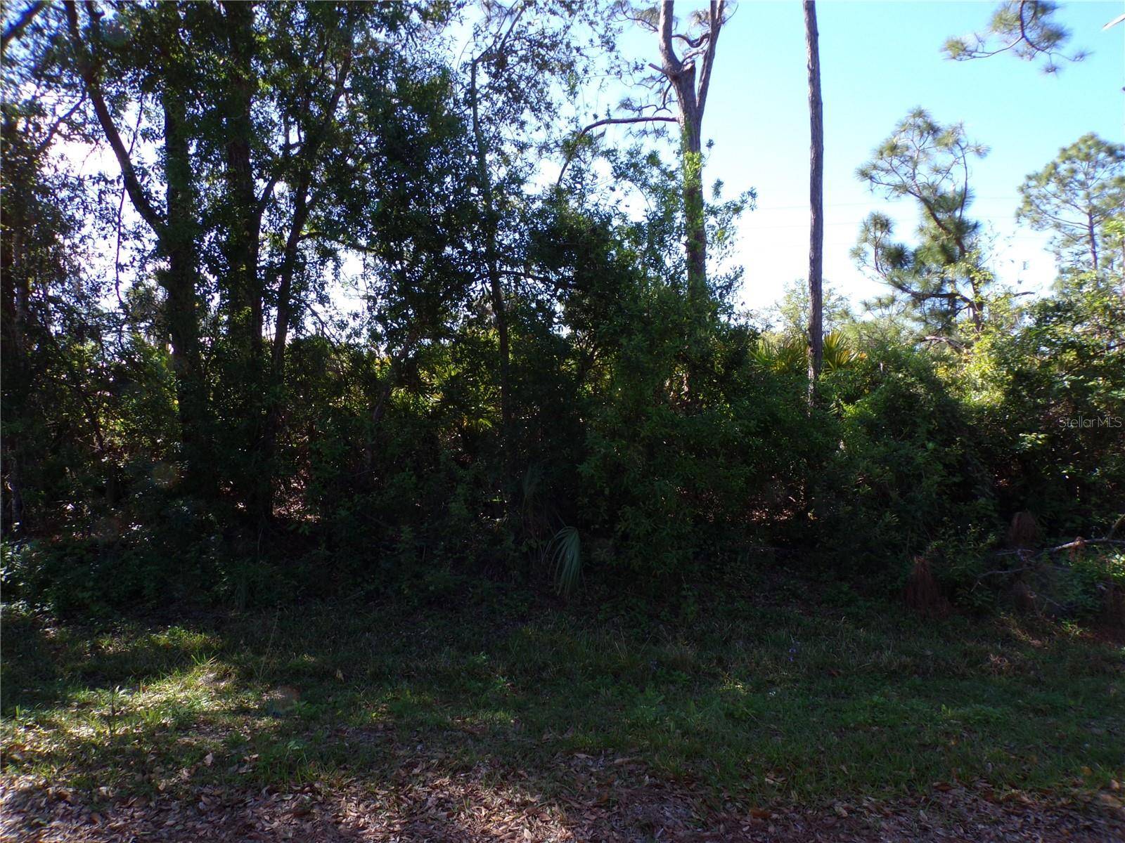 26251 HAPSBURG RD, Punta Gorda, FL 33955