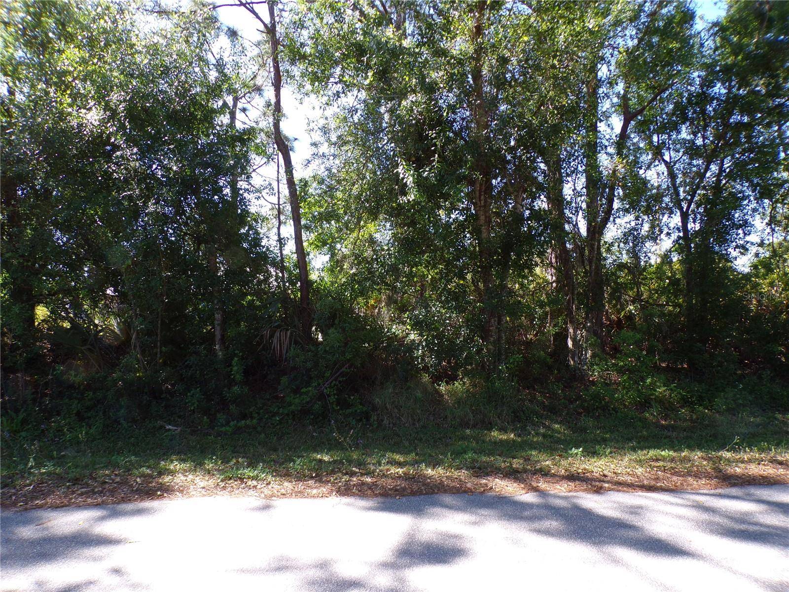 26251 HAPSBURG RD, Punta Gorda, FL 33955