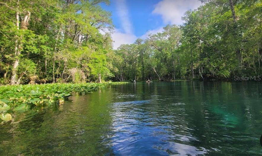 lot 19 LOCUST PASS LN, Ocala, FL 34472