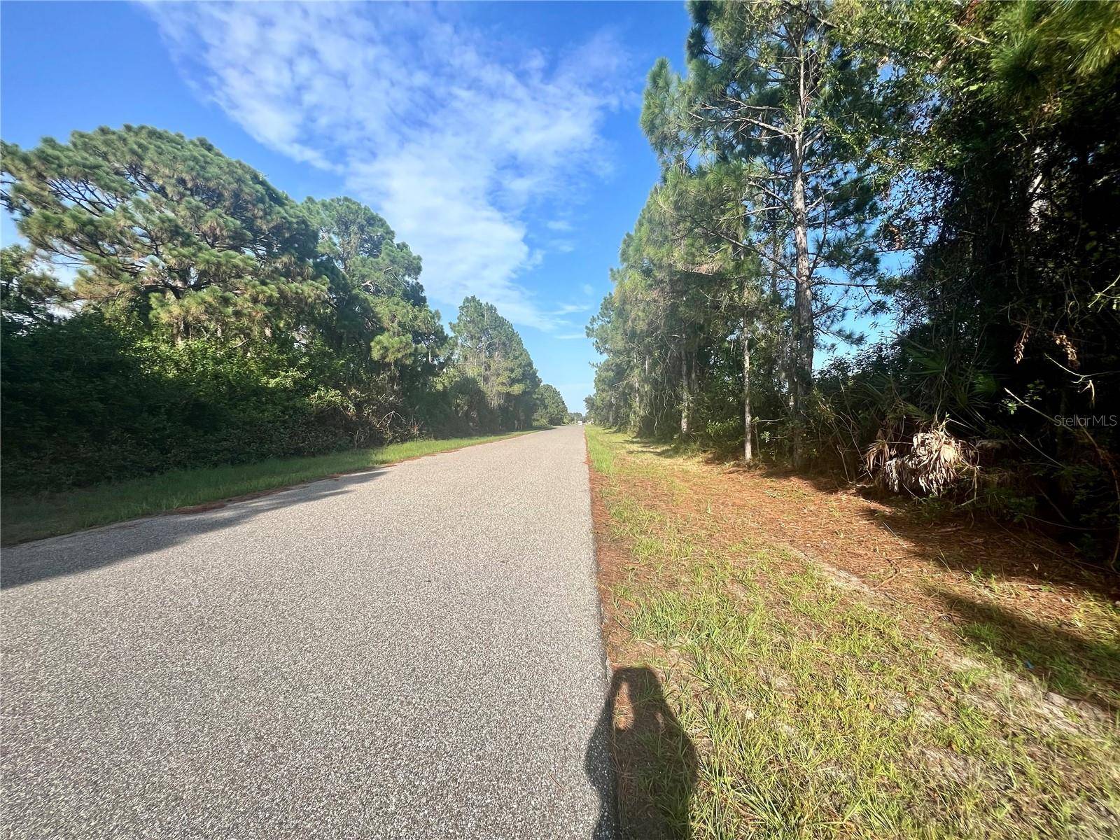 12415 DEEPWOODS AVE, Port Charlotte, FL 33981