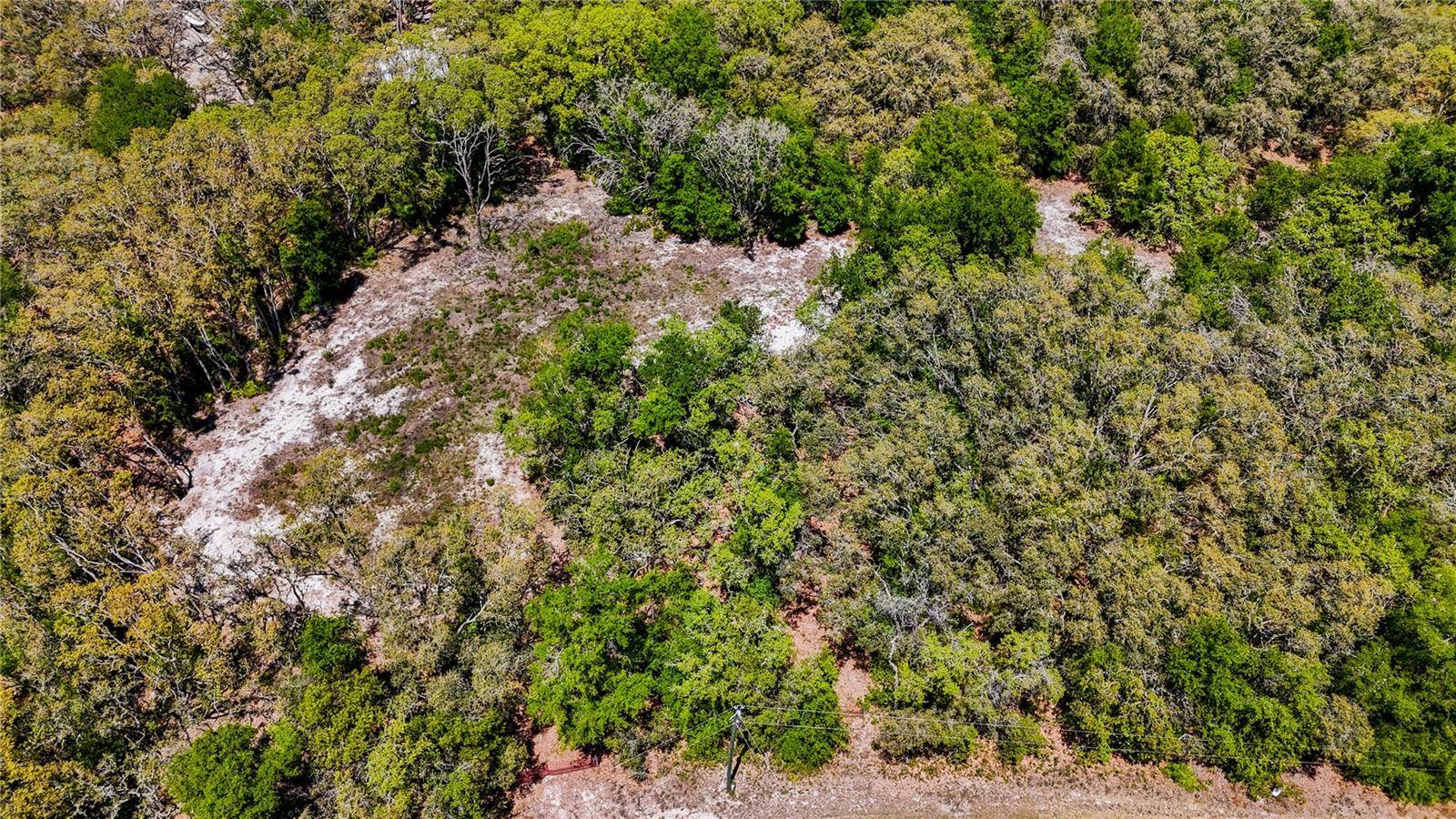 34281 UMBRELLA ROCK DR, Webster, FL 33597