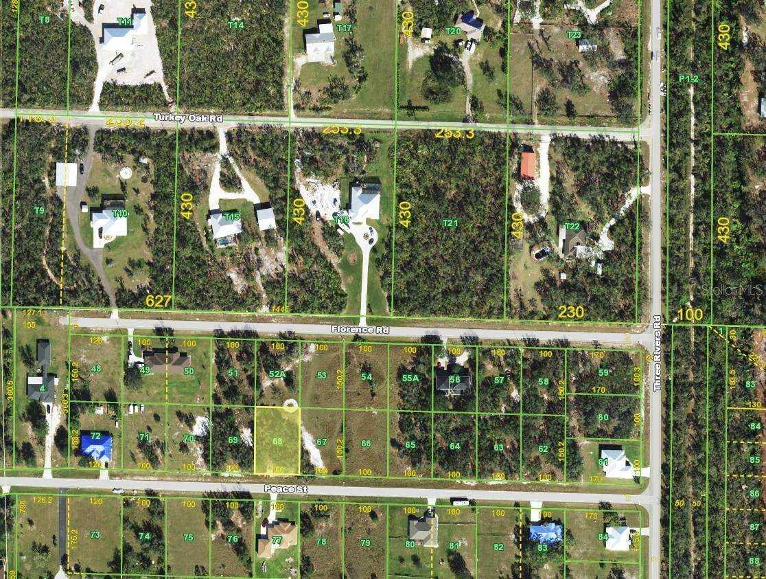 31062 PEACE ST, Punta Gorda, FL 33982