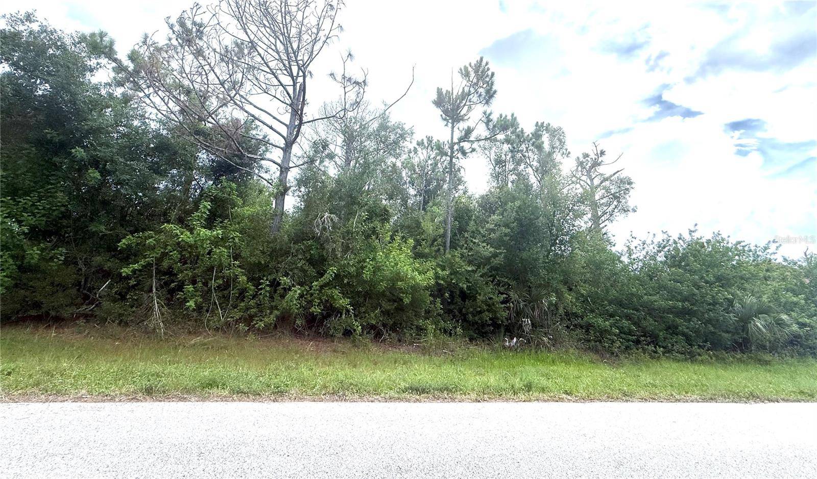 6165 & 6173 BLACKBERRY ST, Englewood, FL 34224
