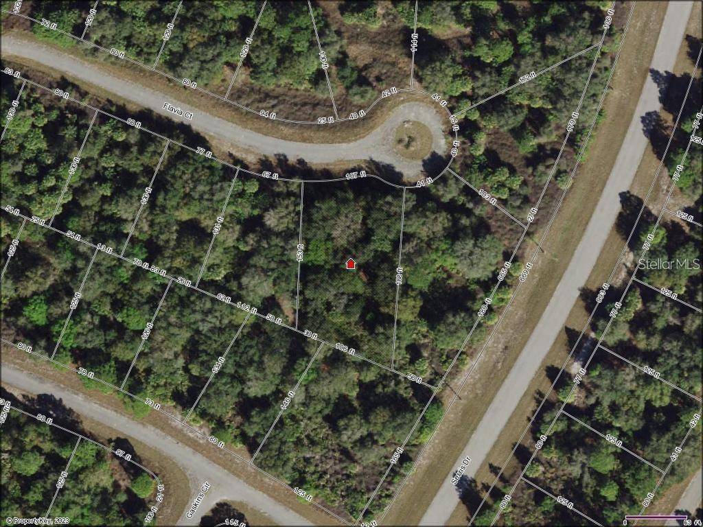 FLAVIA CT, North Port, FL 34288