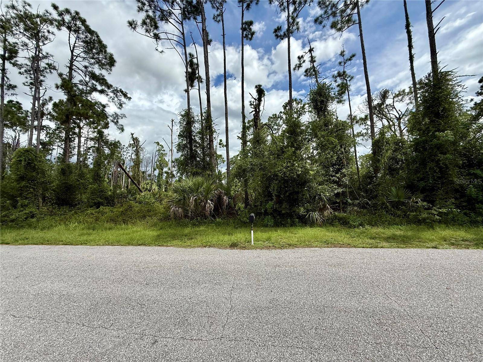 DRAGONFLY AVE, North Port, FL 34288