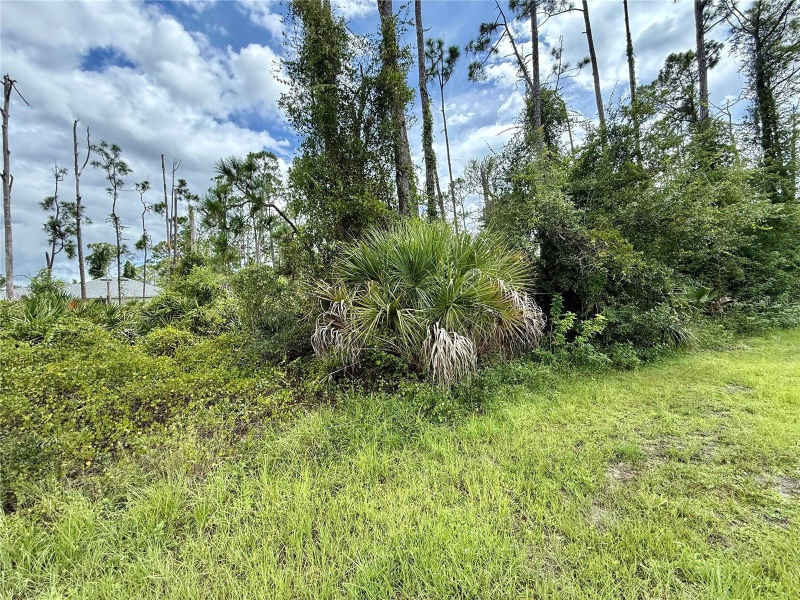 DRAGONFLY AVE, North Port, FL 34288