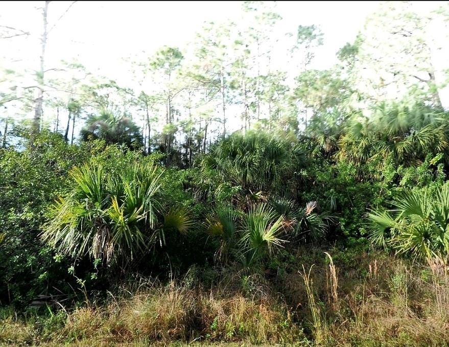 BLUELEAF DR, North Port, FL 34288
