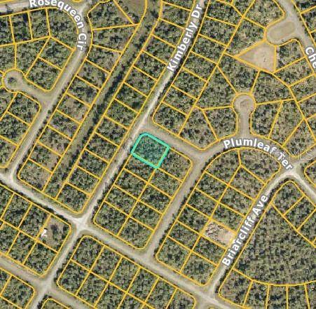 DIELS PL, North Port, FL 34288