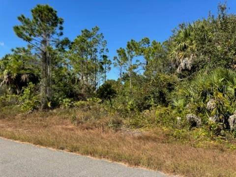 LOT 2 MATTOX CIR, North Port, FL 34288