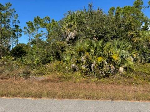 LOT 2 MATTOX CIR, North Port, FL 34288