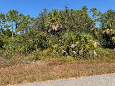LOT 2 MATTOX CIR, North Port, FL 34288