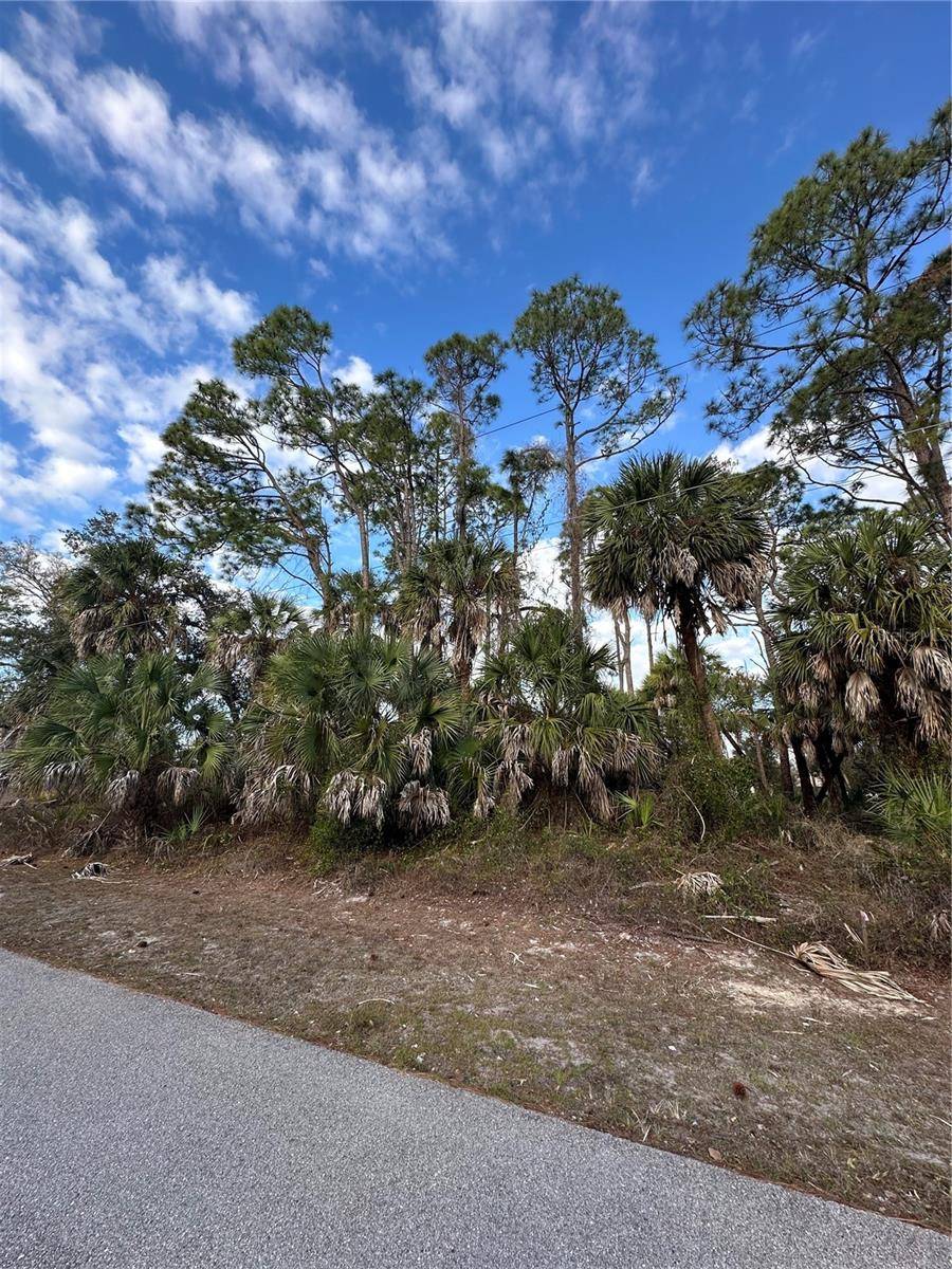 JOANN TER, North Port, FL 34286