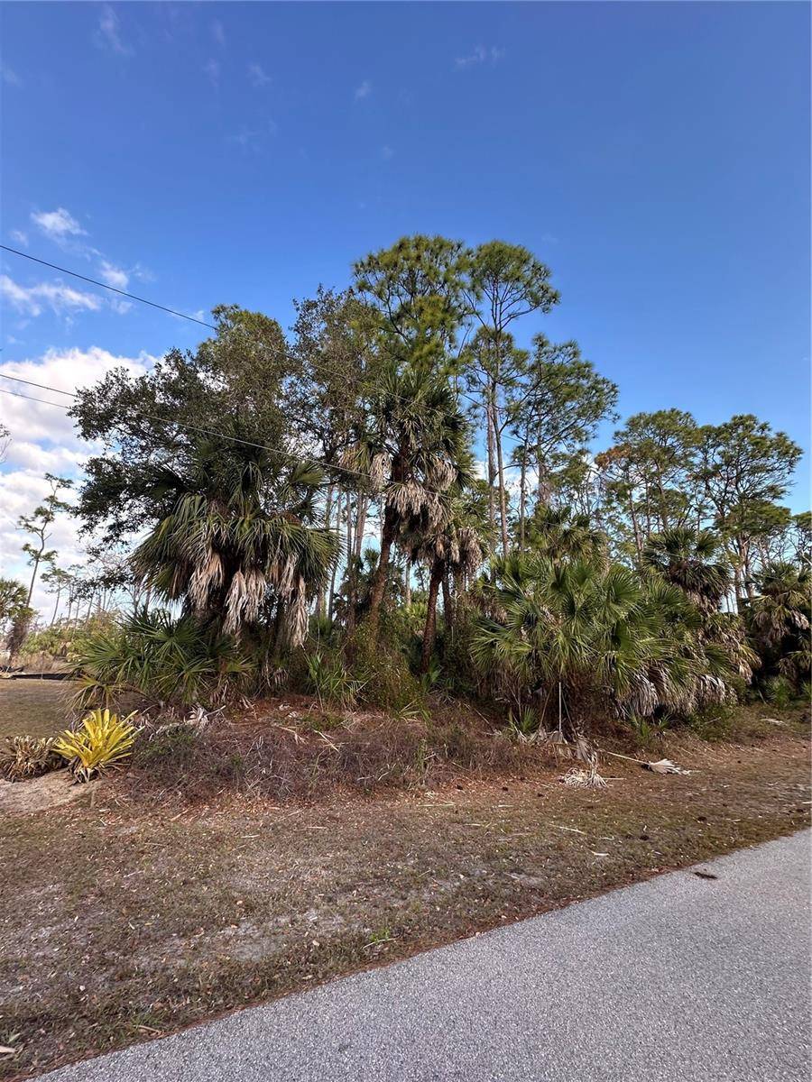 JOANN TER, North Port, FL 34286