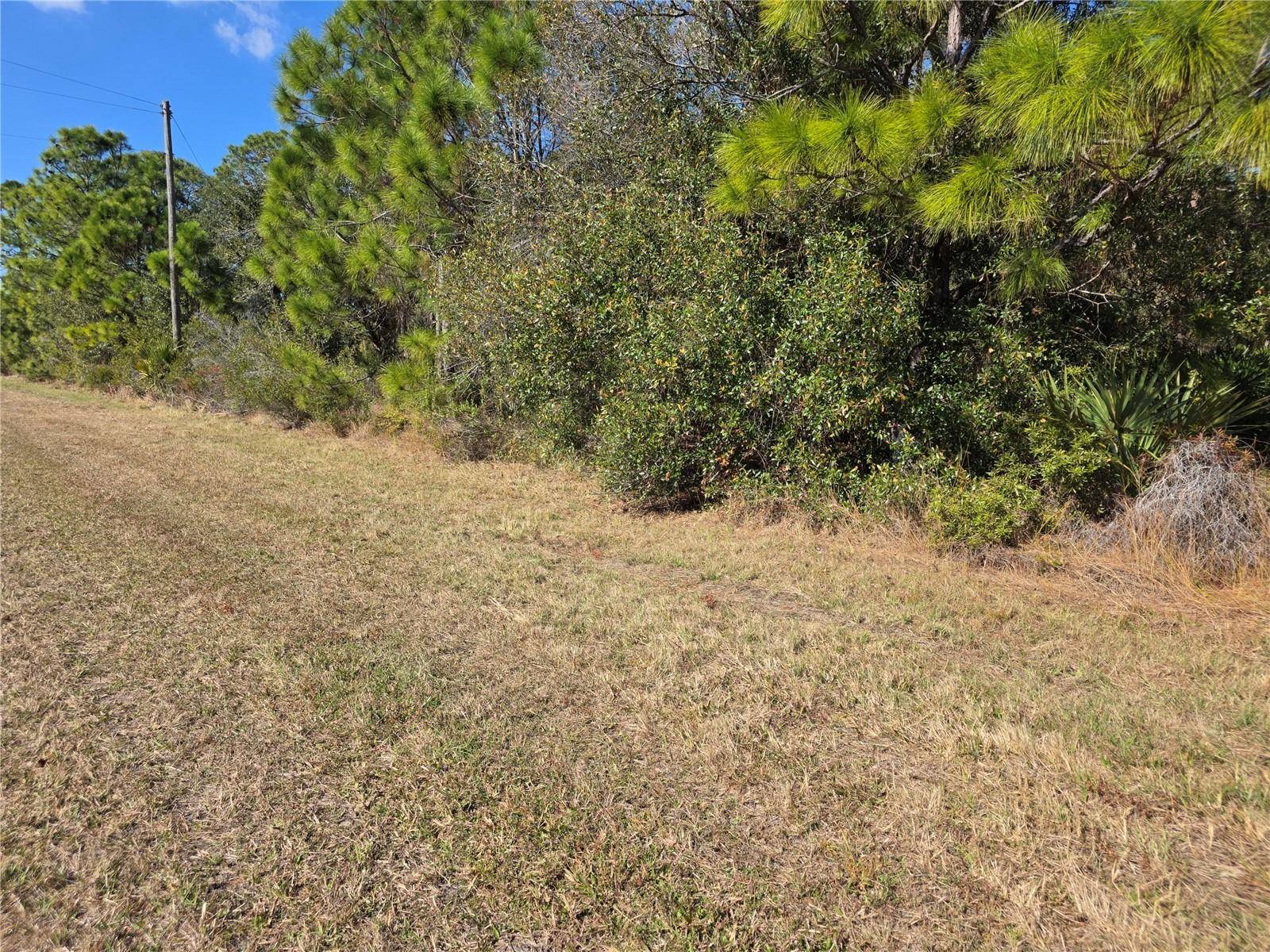 HORNBUCKLE BLVD, North Port, FL 34291