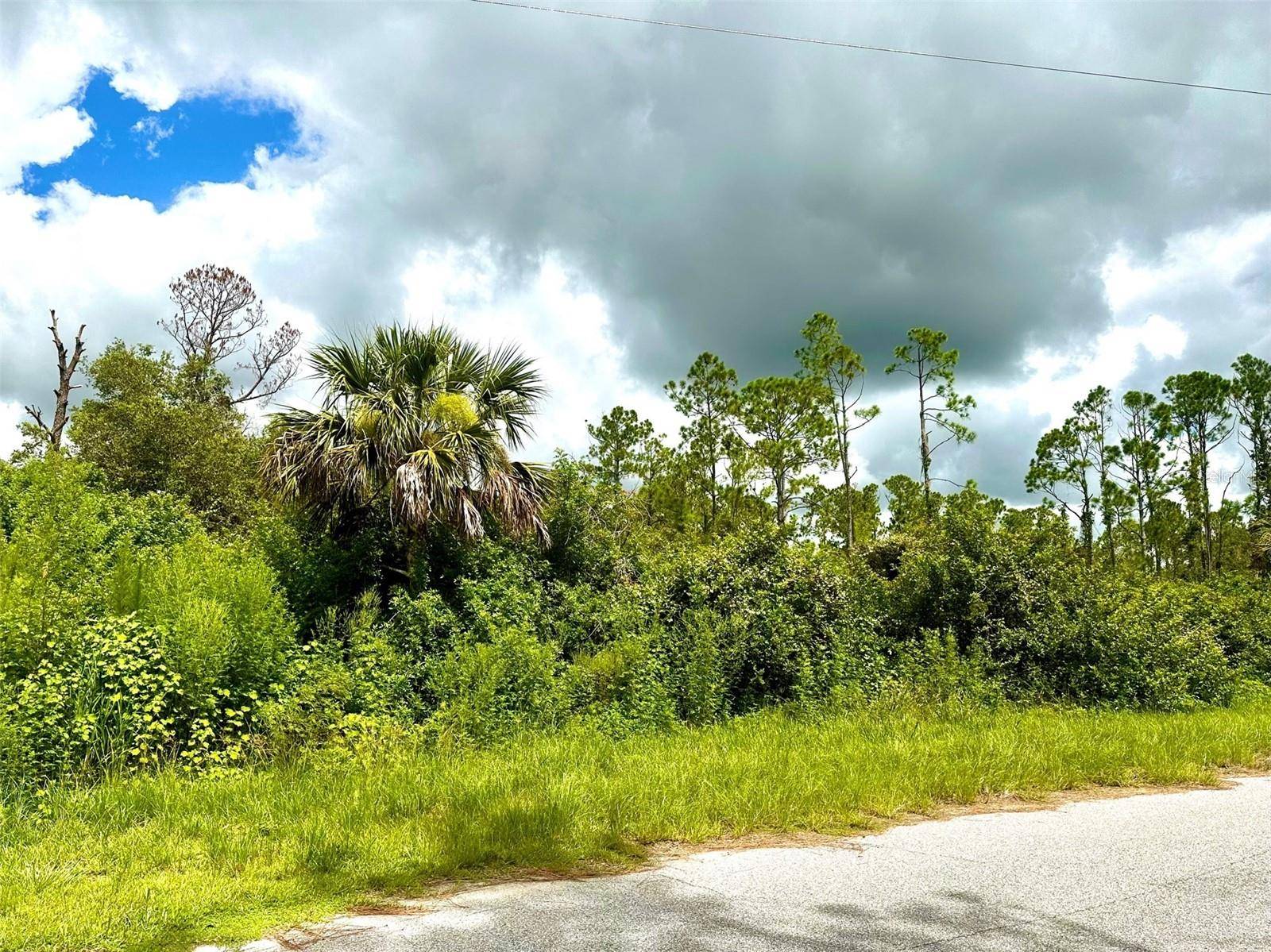 RAVEN ST, North Port, FL 34286