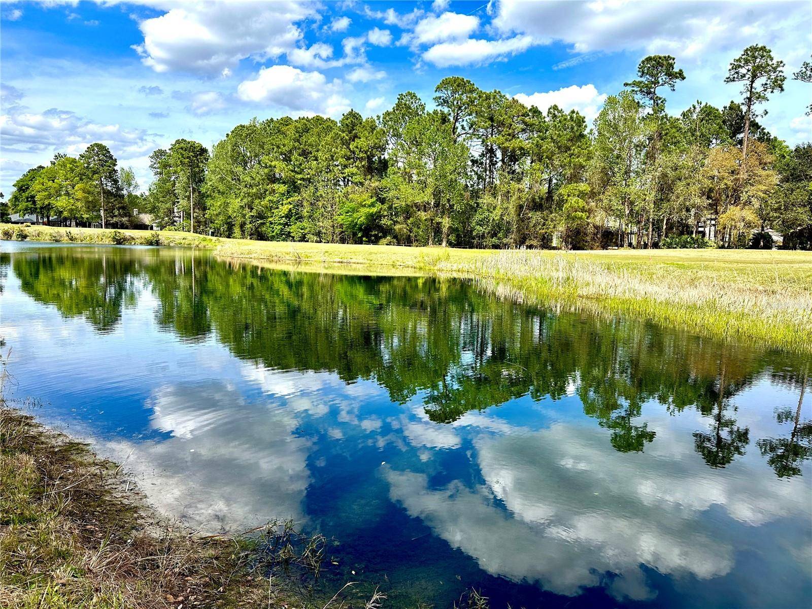 85144 NAPEAGUE DR, Fernandina Beach, FL 32034