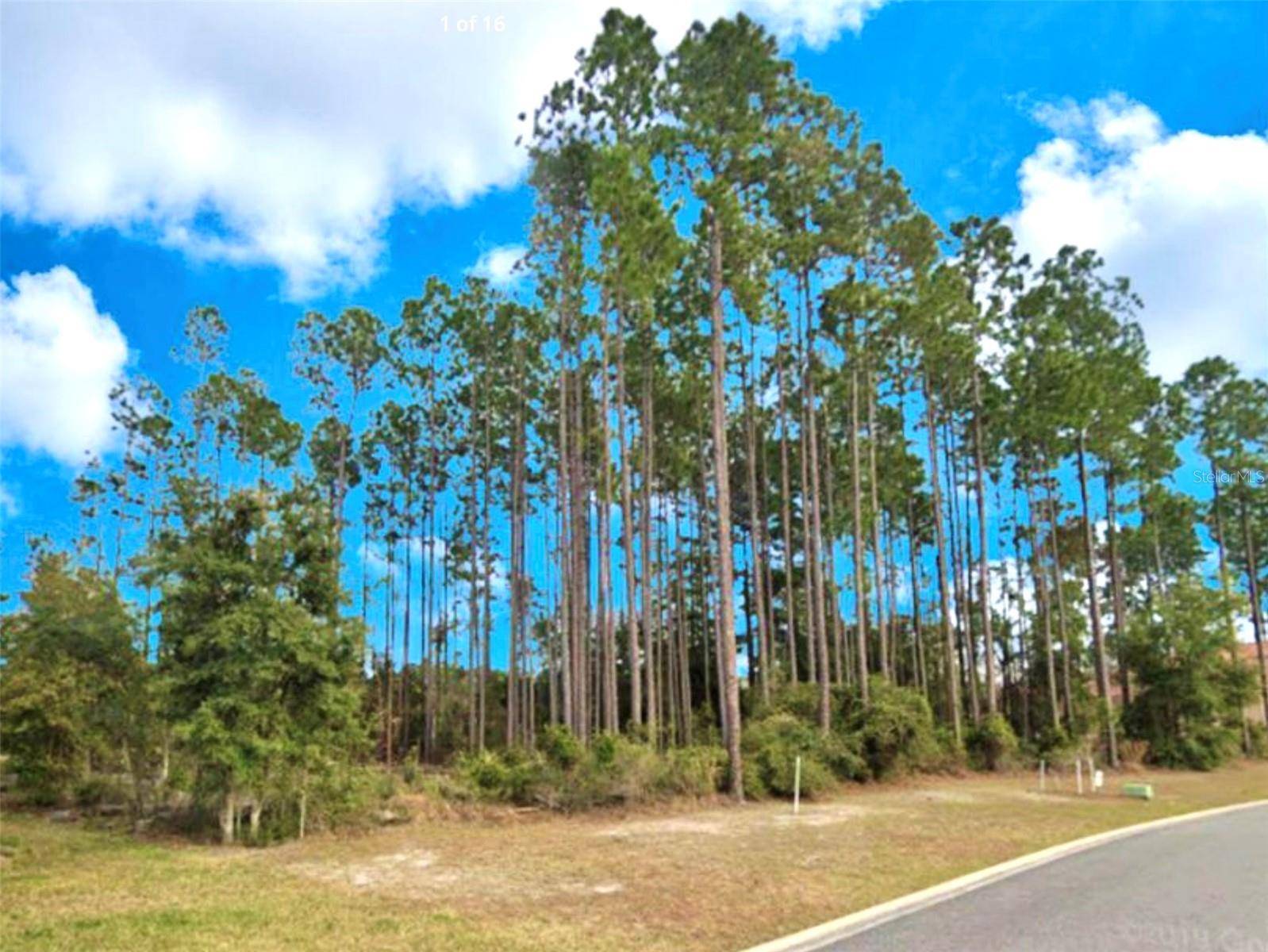 85144 NAPEAGUE DR, Fernandina Beach, FL 32034