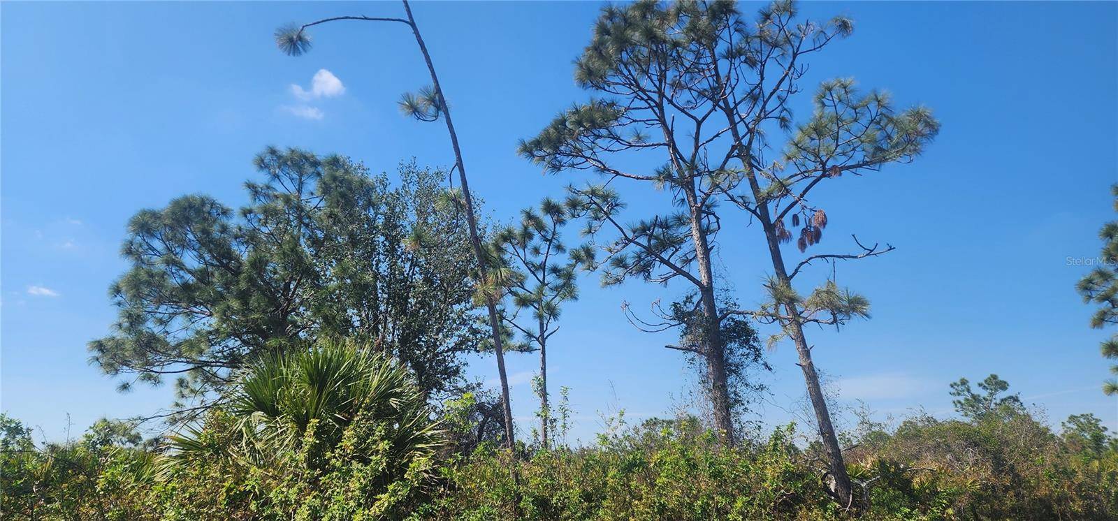4163 HOLLYBROOK ST, Port Charlotte, FL 33981