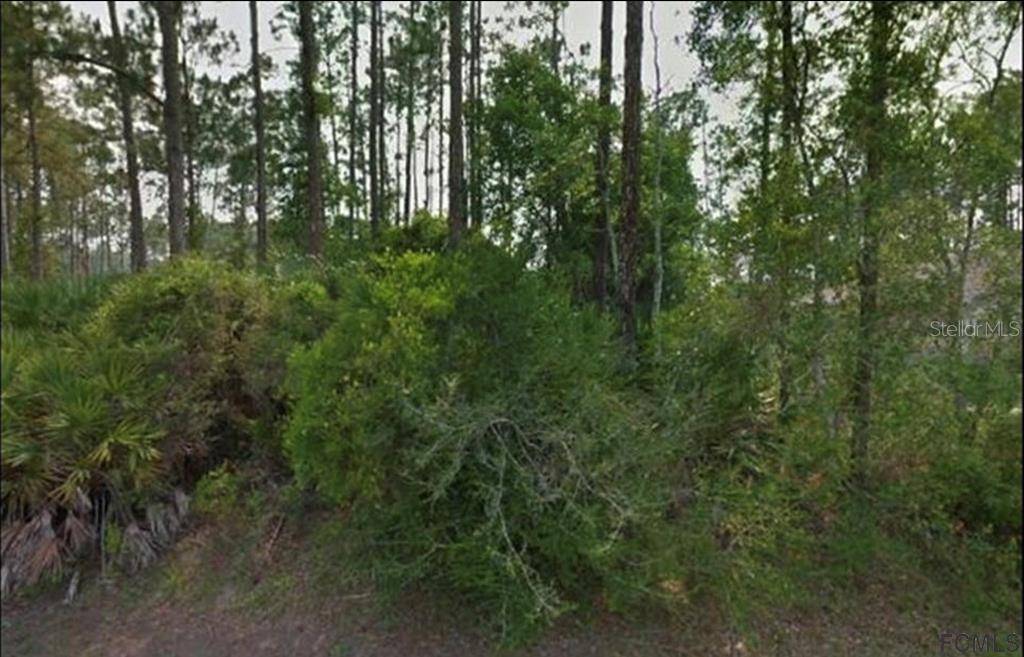 8 RIPTON PL, Palm Coast, FL 32164