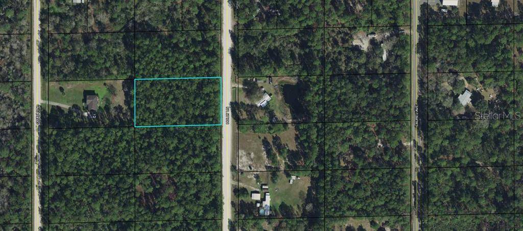 1604 HOLLY LN, Bunnell, FL 32110