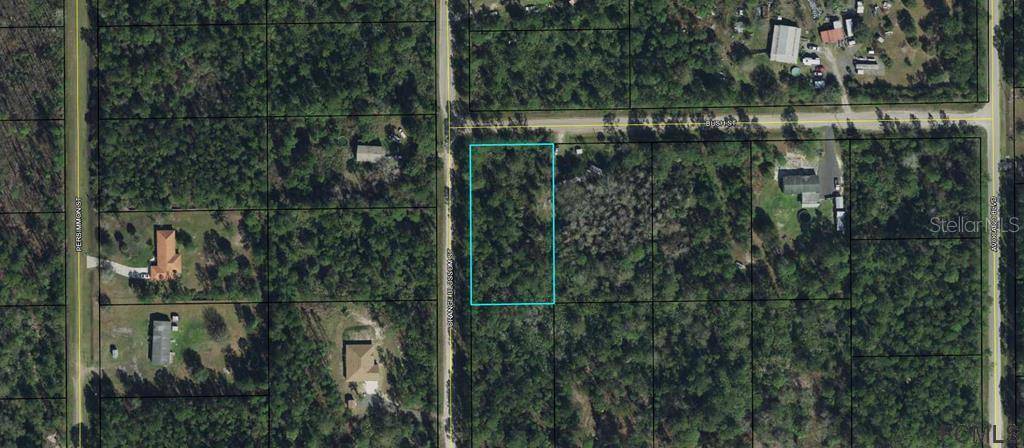 6131 BUSH ST, Bunnell, FL 32110