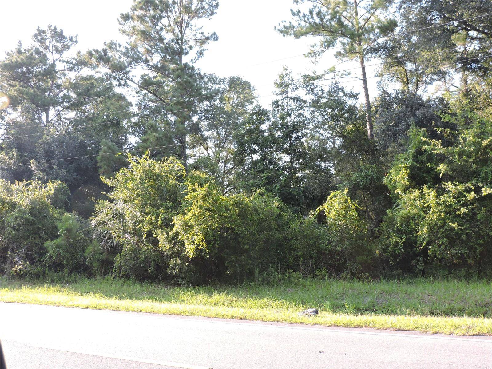 W COUNTY ROAD 2006 WEST W, Bunnell, FL 32110