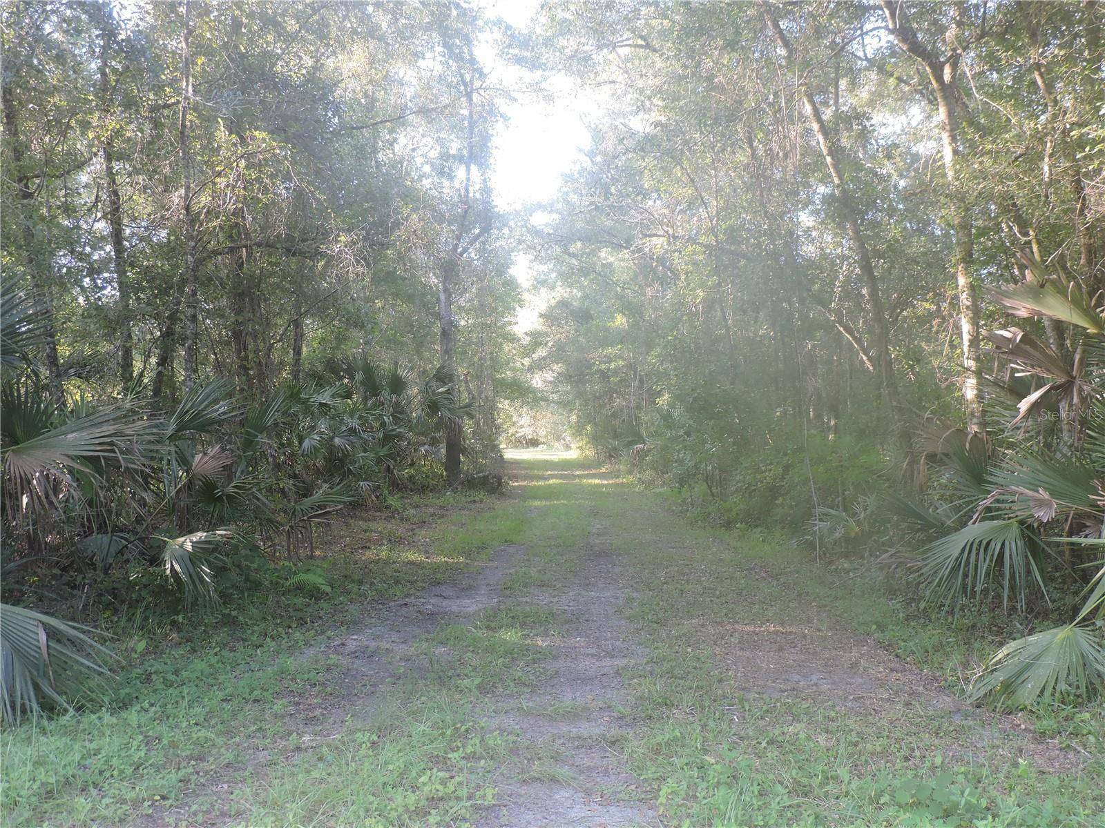 W COUNTY ROAD 2006 WEST W, Bunnell, FL 32110