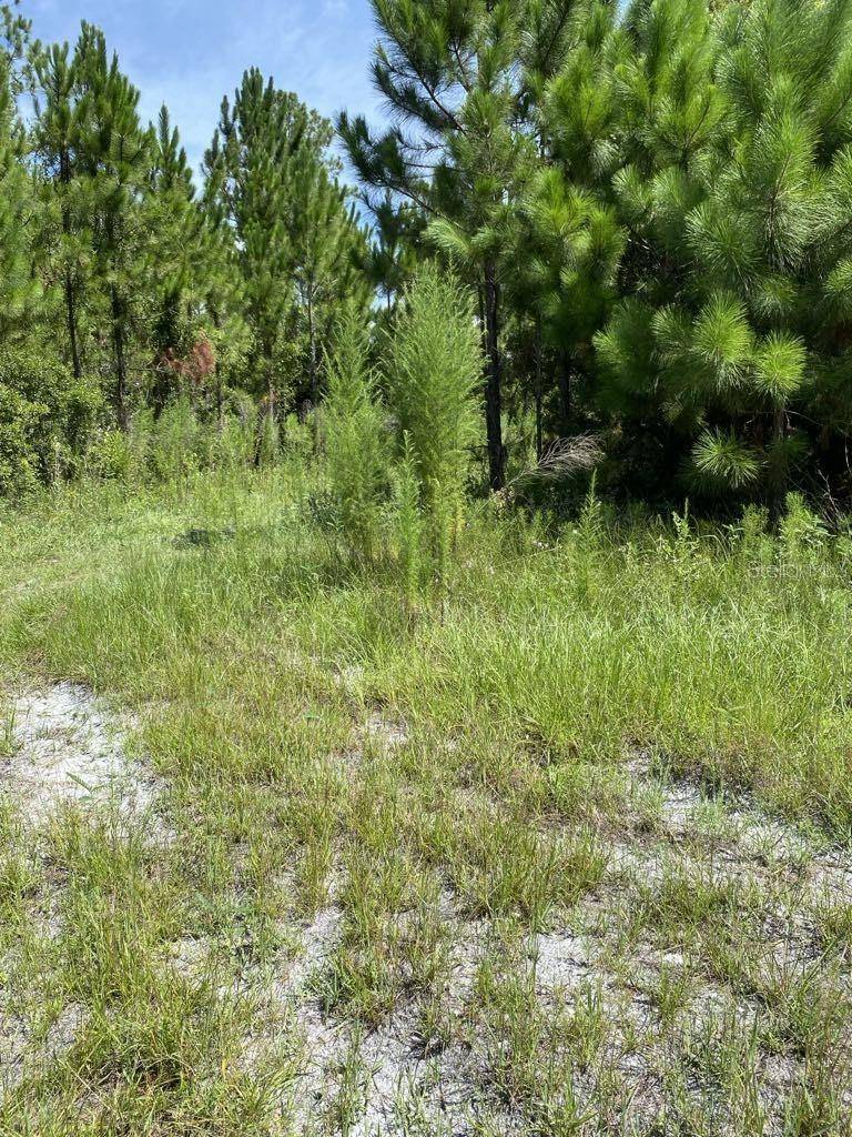 550 W RIVER RD, Palatka, FL 32177