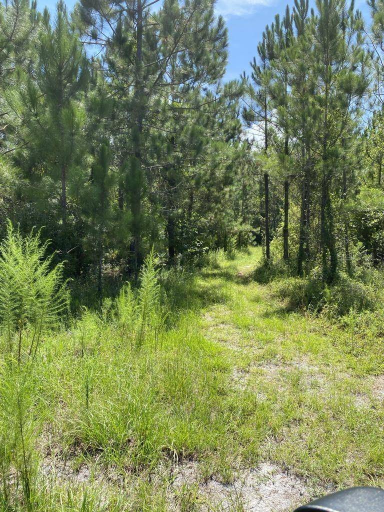 550 W RIVER RD, Palatka, FL 32177
