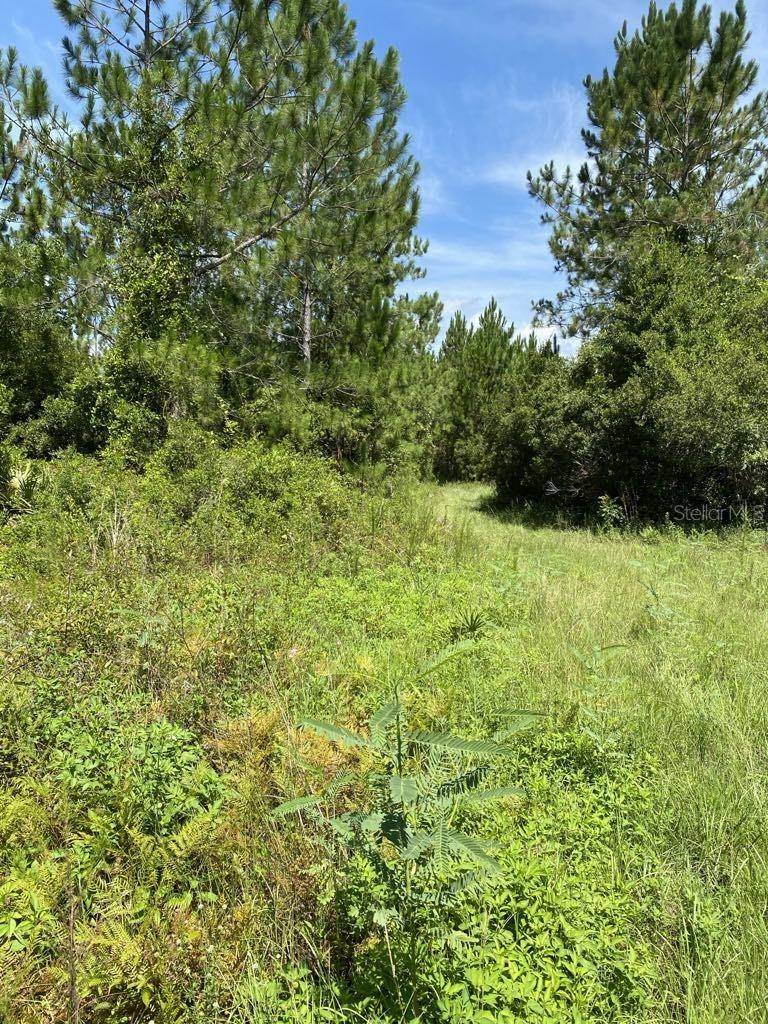 550 W RIVER RD, Palatka, FL 32177