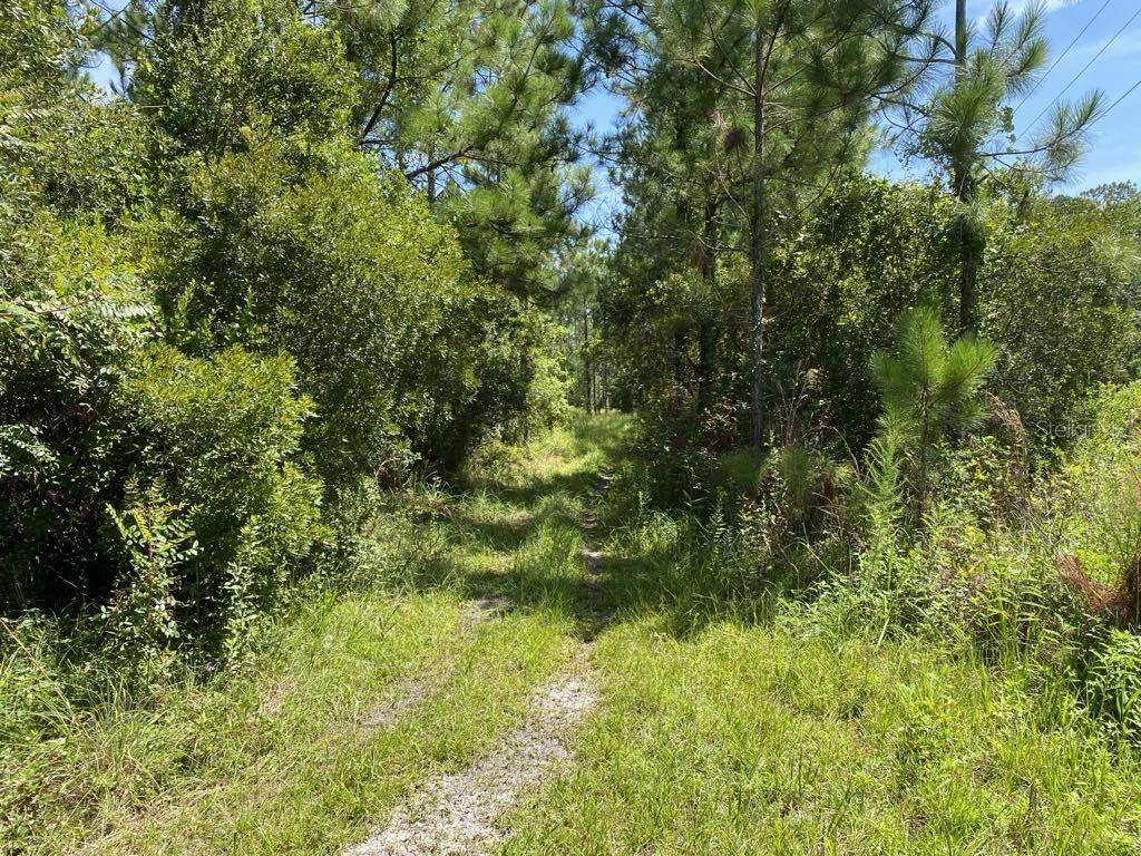 550 W RIVER RD, Palatka, FL 32177