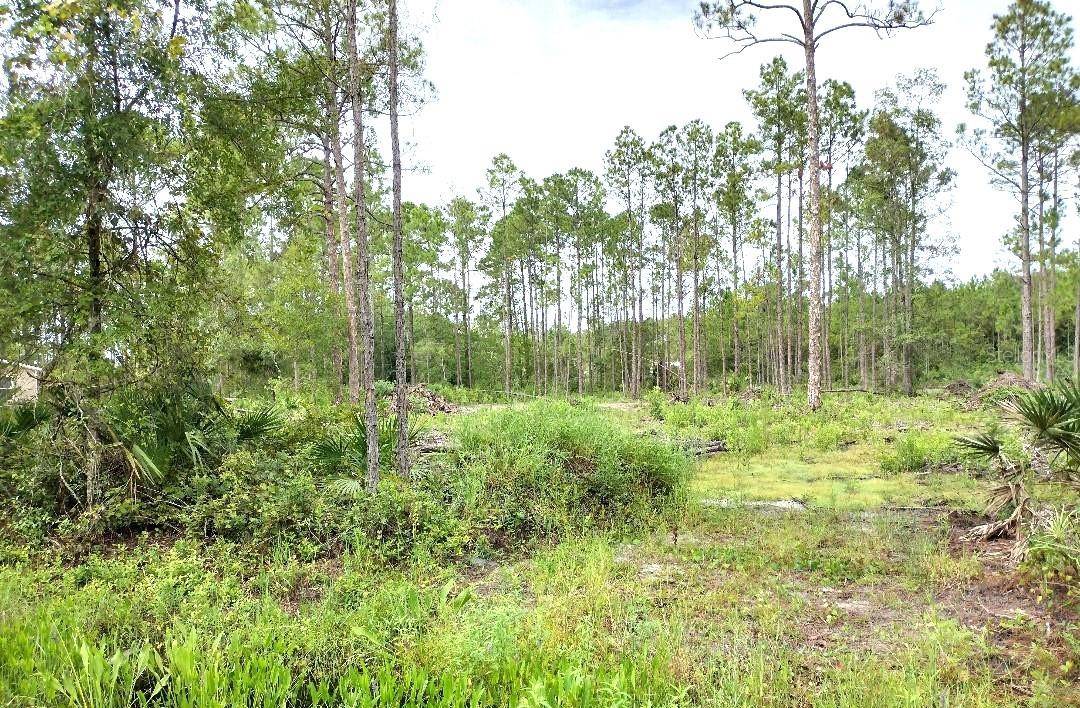 5814 MAHOGANY BLVD, Bunnell, FL 32110