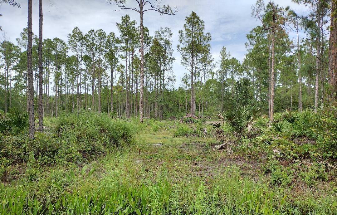 5814 MAHOGANY BLVD, Bunnell, FL 32110