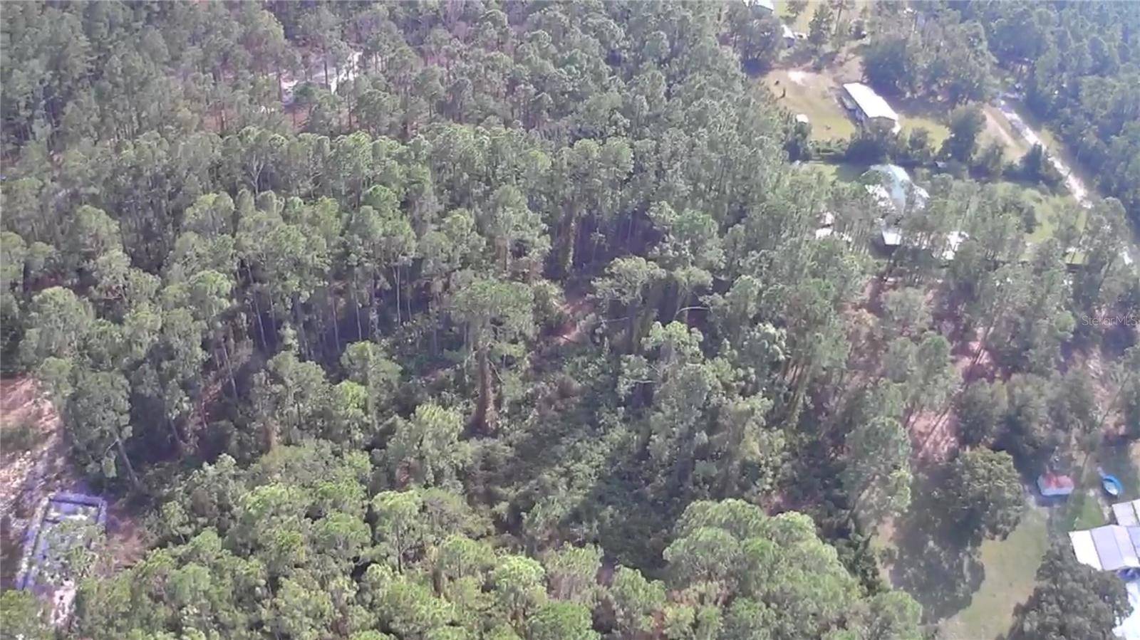 105 PINE CONE DR, Georgetown, FL 32139